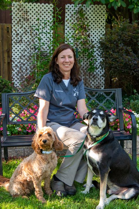 village vet of lewiston|village vet canastota.